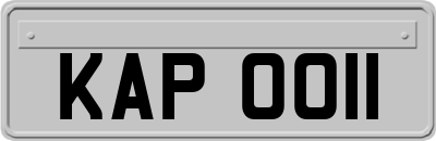 KAP0011