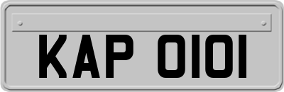 KAP0101