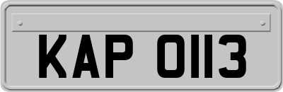 KAP0113