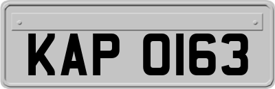 KAP0163