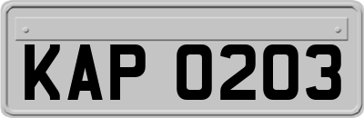 KAP0203