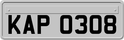 KAP0308