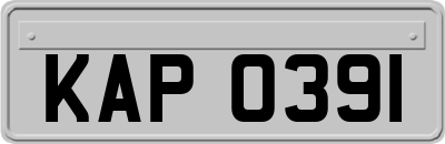 KAP0391