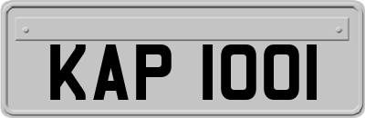 KAP1001