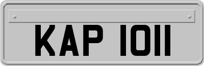 KAP1011