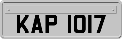 KAP1017