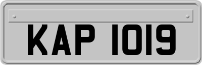 KAP1019