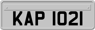 KAP1021