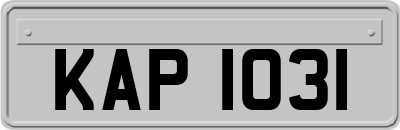 KAP1031