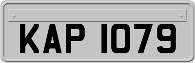 KAP1079