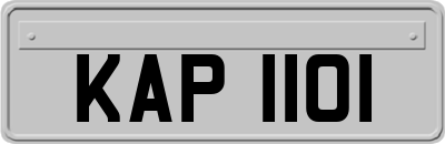 KAP1101