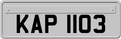 KAP1103