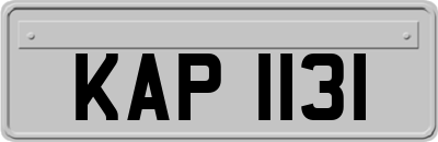 KAP1131
