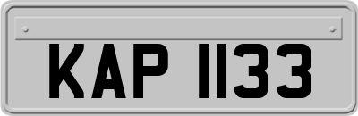 KAP1133