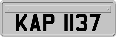 KAP1137