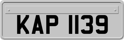KAP1139