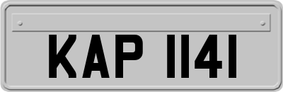 KAP1141