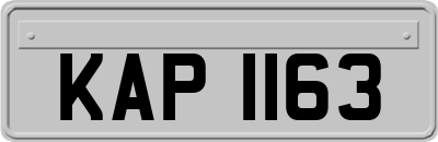 KAP1163