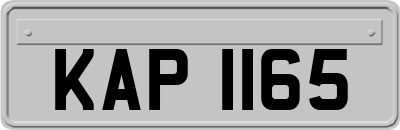 KAP1165