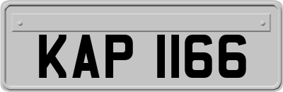 KAP1166
