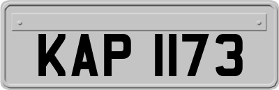 KAP1173