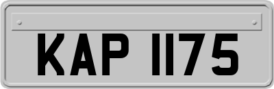 KAP1175