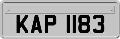 KAP1183