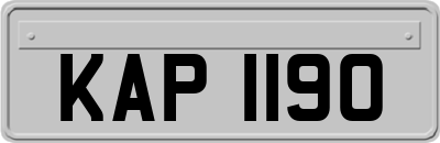 KAP1190