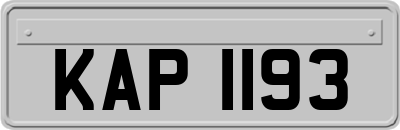 KAP1193