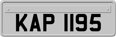 KAP1195
