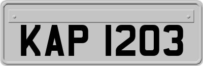 KAP1203