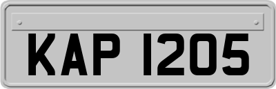 KAP1205