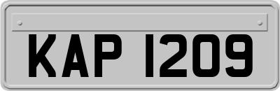 KAP1209