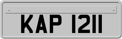 KAP1211