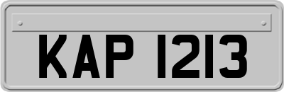 KAP1213