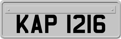 KAP1216