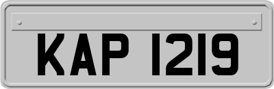 KAP1219