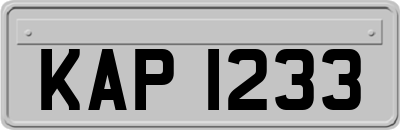KAP1233