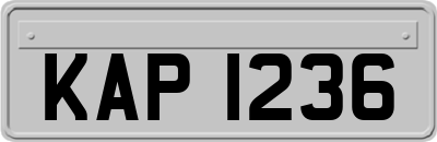 KAP1236