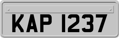 KAP1237