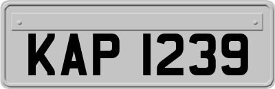 KAP1239