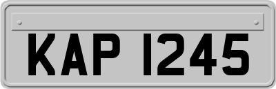 KAP1245