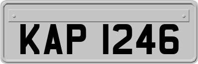 KAP1246