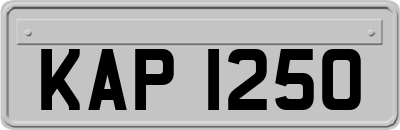 KAP1250