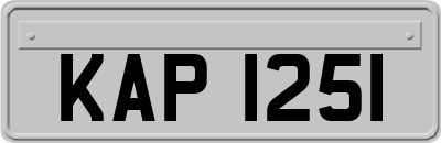 KAP1251