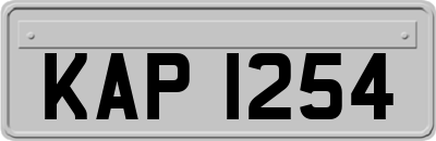 KAP1254