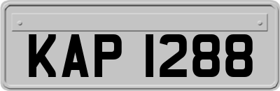 KAP1288