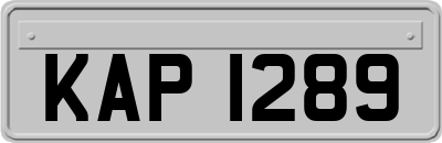 KAP1289