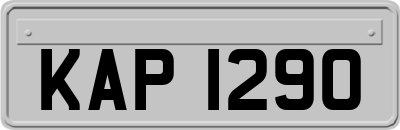 KAP1290