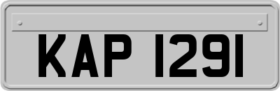 KAP1291